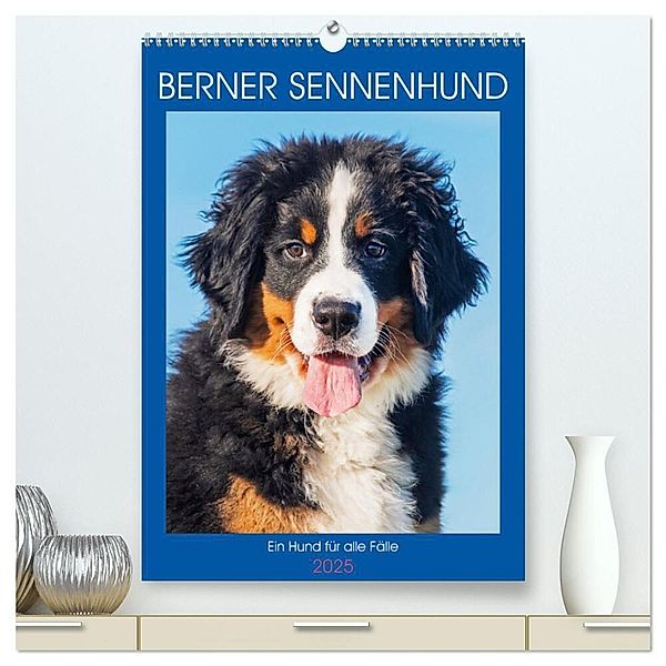 Berner Sennenhund - Ein Hund für alle Fälle (hochwertiger Premium Wandkalender 2025 DIN A2 hoch), Kunstdruck in Hochglanz, Calvendo, Sigrid Starick