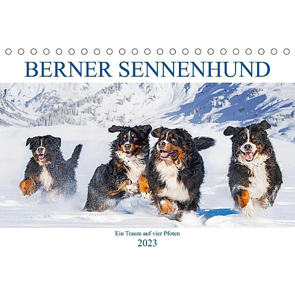 Berner Sennenhund - Ein Traum auf vier Pfoten (Tischkalender 2023 DIN A5 quer), Sigrid Starick