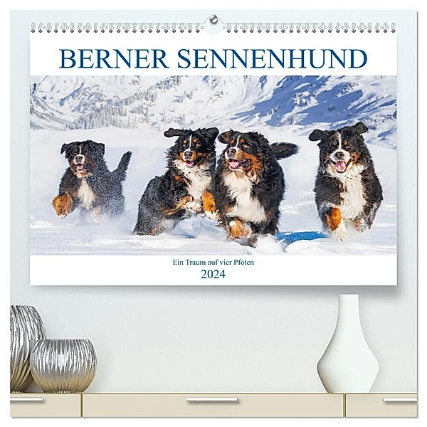 Berner Sennenhund - Ein Traum auf vier Pfoten (hochwertiger Premium Wandkalender 2024 DIN A2 quer), Kunstdruck in Hochglanz, Sigrid Starick