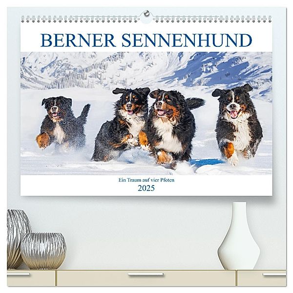 Berner Sennenhund - Ein Traum auf vier Pfoten (hochwertiger Premium Wandkalender 2025 DIN A2 quer), Kunstdruck in Hochglanz, Calvendo, Sigrid Starick