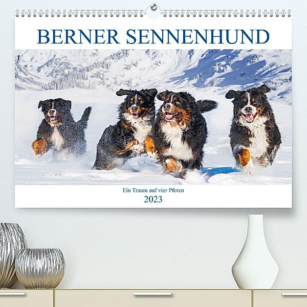 Berner Sennenhund - Ein Traum auf vier Pfoten (Premium, hochwertiger DIN A2 Wandkalender 2023, Kunstdruck in Hochglanz), Sigrid Starick