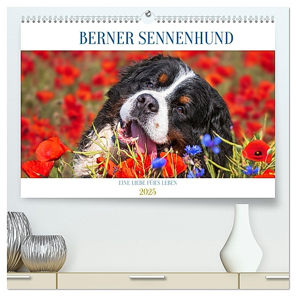 Berner Sennenhund - Eine Liebe für´s Leben (hochwertiger Premium Wandkalender 2025 DIN A2 quer), Kunstdruck in Hochglanz, Calvendo, Sigrid Starick