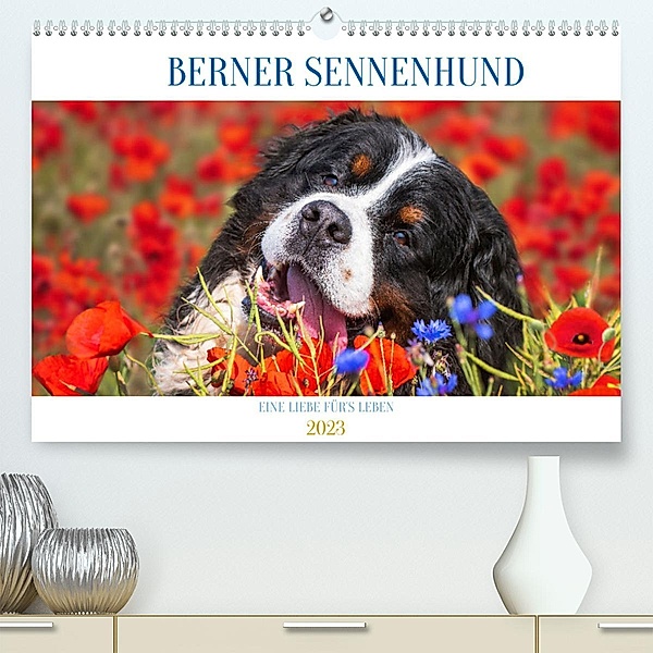 Berner Sennenhund - Eine Liebe für´s Leben (Premium, hochwertiger DIN A2 Wandkalender 2023, Kunstdruck in Hochglanz), Sigrid Starick