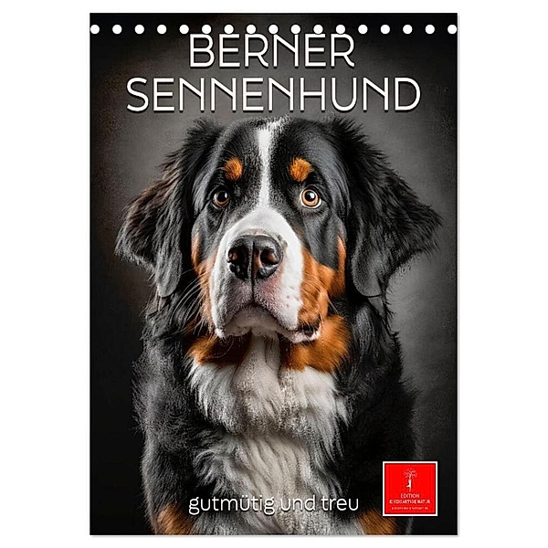 Berner Sennenhund - gutmütig und treu (Tischkalender 2024 DIN A5 hoch), CALVENDO Monatskalender, Peter Roder