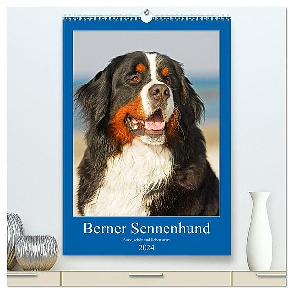 Berner Sennenhund - stark , schön und liebenswert (hochwertiger Premium Wandkalender 2024 DIN A2 hoch), Kunstdruck in Hochglanz, Sigrid Starick