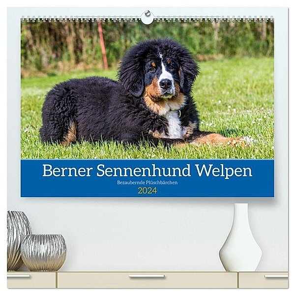 Berner Sennenhund Welpen - Bezaubernde Plüschbärchen (hochwertiger Premium Wandkalender 2024 DIN A2 quer), Kunstdruck in Hochglanz, Jana K. Fotografie