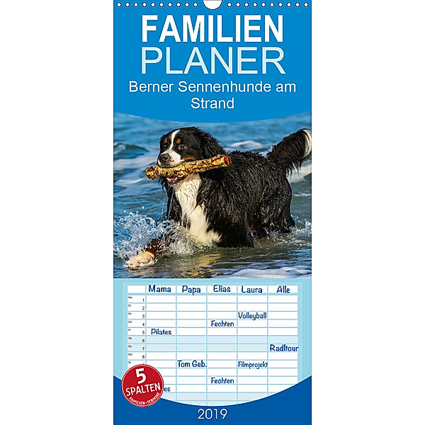 Berner Sennenhunde am Strand - Familienplaner hoch (Wandkalender 2019 , 21 cm x 45 cm, hoch), Sigrid Starick