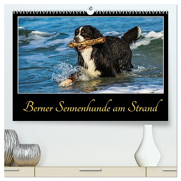 Berner Sennenhunde am Strand (hochwertiger Premium Wandkalender 2024 DIN A2 quer), Kunstdruck in Hochglanz, Sigrid Starick