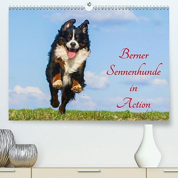 Berner Sennenhunde in Action (Premium, hochwertiger DIN A2 Wandkalender 2020, Kunstdruck in Hochglanz), Sigrid Starick