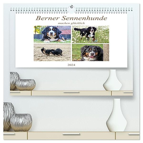 Berner Sennenhunde machen glücklich (hochwertiger Premium Wandkalender 2024 DIN A2 quer), Kunstdruck in Hochglanz, Schnellewelten