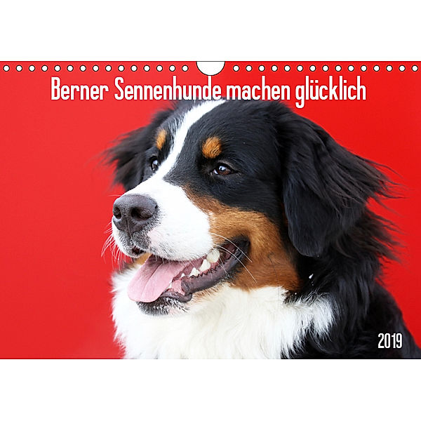 Berner Sennenhunde machen glücklich (Wandkalender 2019 DIN A4 quer), SchnelleWelten