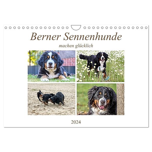 Berner Sennenhunde machen glücklich (Wandkalender 2024 DIN A4 quer), CALVENDO Monatskalender, Schnellewelten