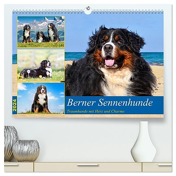 Berner Sennenhunde - Traumhunde mit Charme (hochwertiger Premium Wandkalender 2024 DIN A2 quer), Kunstdruck in Hochglanz, Jana K. Fotografie