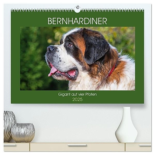 Bernhardiner - Gigant auf vier Pfoten (hochwertiger Premium Wandkalender 2025 DIN A2 quer), Kunstdruck in Hochglanz, Calvendo, Sigrid Starick