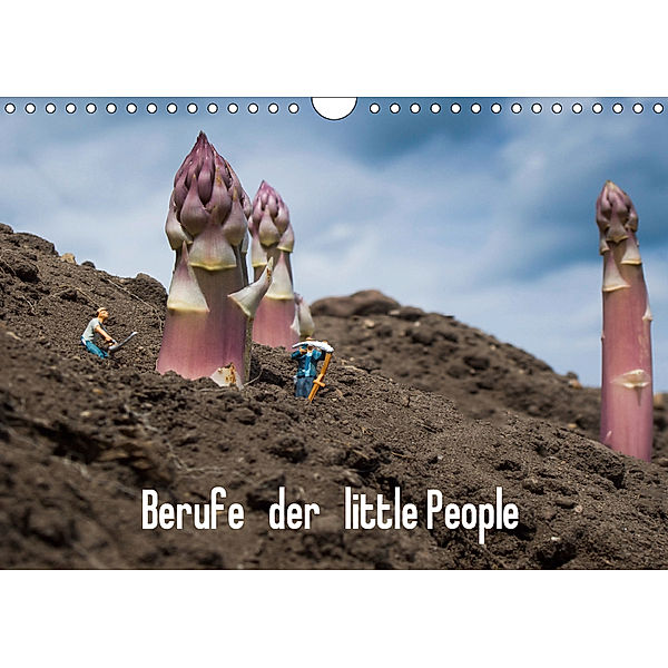 Berufe der little People (Wandkalender 2019 DIN A4 quer), Holger Rochow