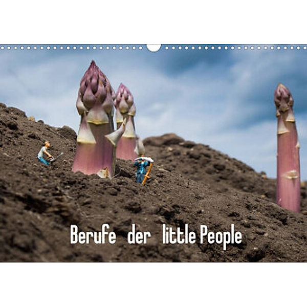 Berufe der little People (Wandkalender 2022 DIN A3 quer), Holger Rochow