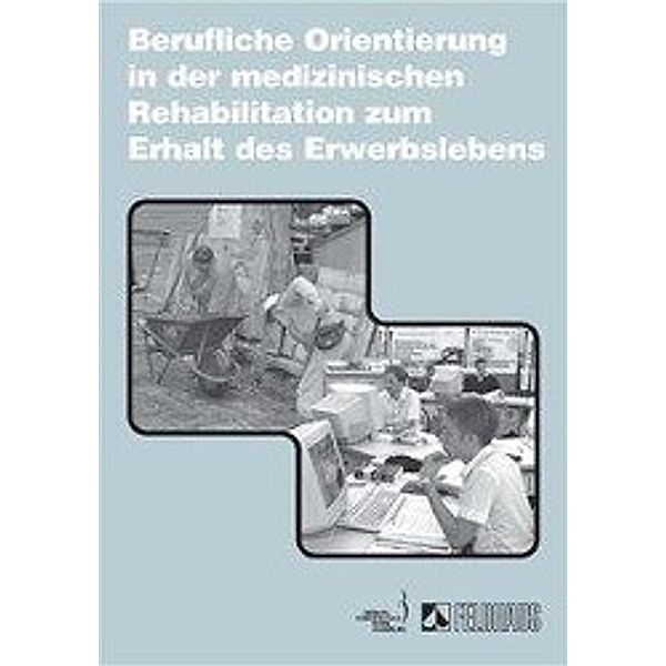 Berufliche Orientierung in der medizinischen Rehabilitation zum Erhalt des Erwerbslebens, Wolfgang Slesina, Andreas Weber, Ulrike Weber, Hans M Schian