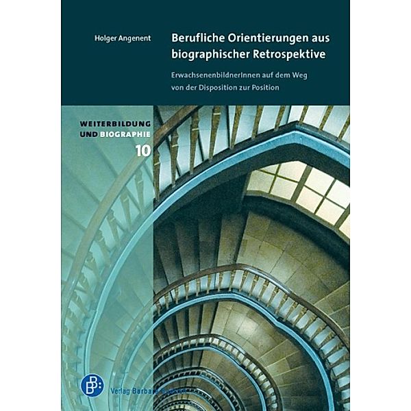 Berufliche Orientierungen aus biographischer Retrospektive / Weiterbildung und Biographie Bd.10, Holger Angenent