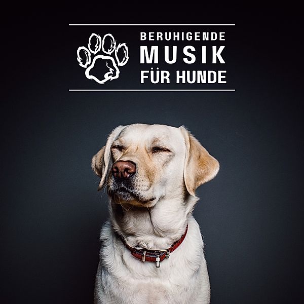 Beruhigende Musik für Hunde - 1 - Beruhigende Musik für Hunde, World Of Dogs