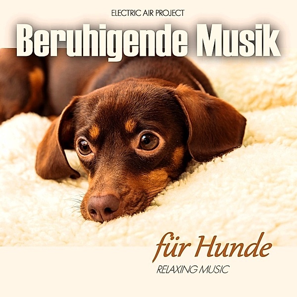 Beruhigende Musik Für Hunde, Electric Air Project