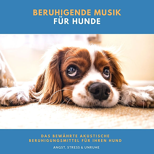 Beruhigende Musik für Hunde, Neil Aniston