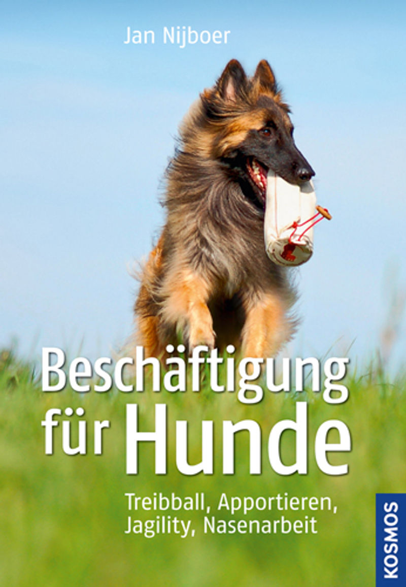 Beschäftigung für Hunde Buch von Jan Nijboer versandkostenfrei bestellen
