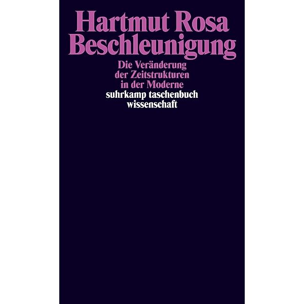 Beschleunigung, Hartmut Rosa