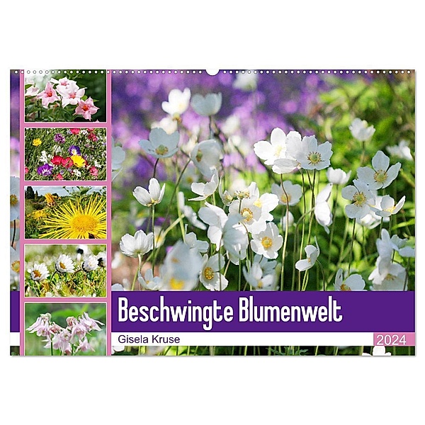 Beschwingte Blumenwelt (Wandkalender 2024 DIN A2 quer), CALVENDO Monatskalender, Gisela Kruse