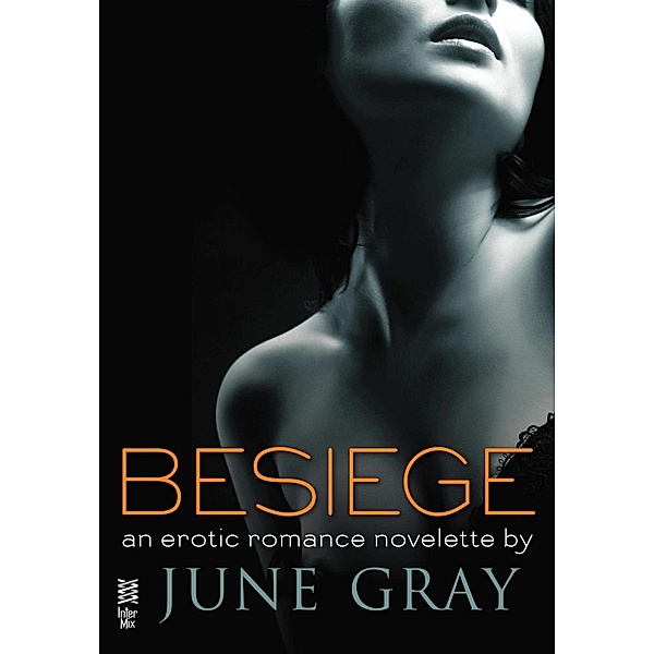 Besiege / Disarm Bd.2, June Gray