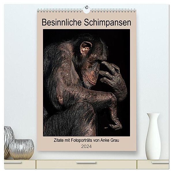 Besinnliche Schimpansen (hochwertiger Premium Wandkalender 2024 DIN A2 hoch), Kunstdruck in Hochglanz, Anke Grau