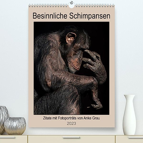 Besinnliche Schimpansen (Premium, hochwertiger DIN A2 Wandkalender 2023, Kunstdruck in Hochglanz), Anke Grau