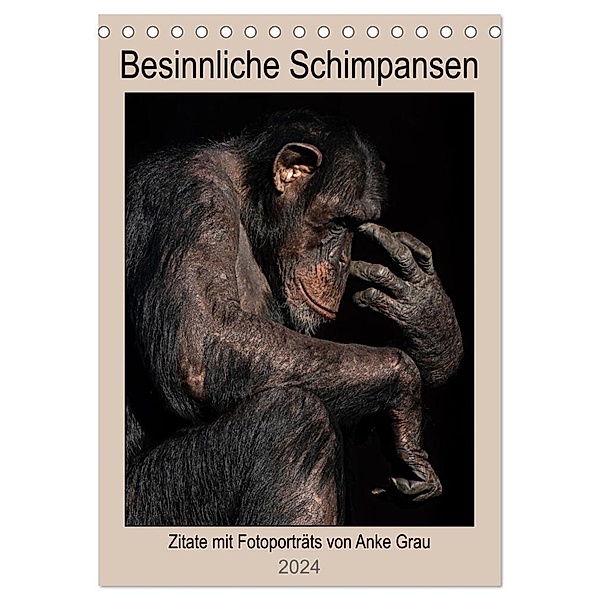 Besinnliche Schimpansen (Tischkalender 2024 DIN A5 hoch), CALVENDO Monatskalender, Anke Grau
