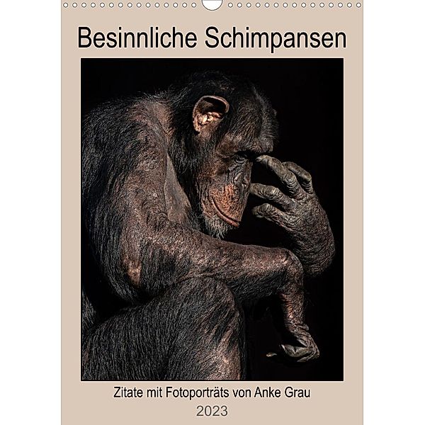 Besinnliche Schimpansen (Wandkalender 2023 DIN A3 hoch), Anke Grau
