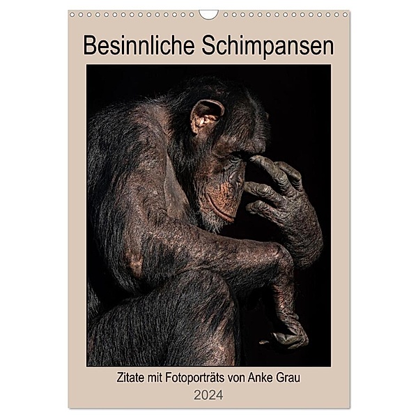 Besinnliche Schimpansen (Wandkalender 2024 DIN A3 hoch), CALVENDO Monatskalender, Anke Grau