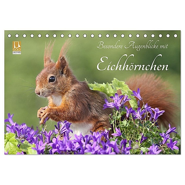 Besondere Augenblicke mit Eichhörnchen (Tischkalender 2024 DIN A5 quer), CALVENDO Monatskalender, Tine Meier