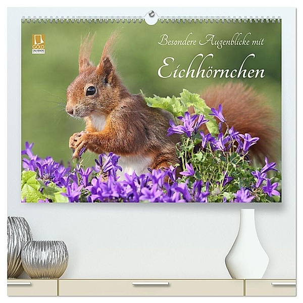 Besondere Augenblicke mit Eichhörnchen (hochwertiger Premium Wandkalender 2024 DIN A2 quer), Kunstdruck in Hochglanz, Tine Meier