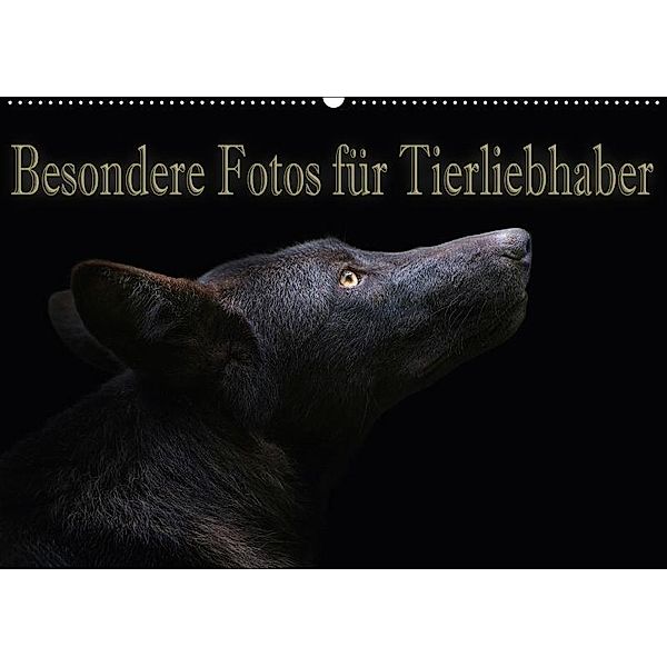 Besondere Fotos für Tierliebhaber (Wandkalender 2017 DIN A2 quer), Eleonore Swierczyna