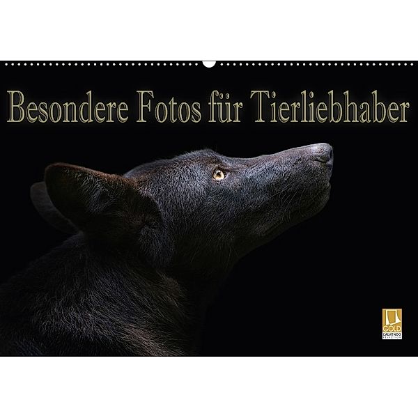Besondere Fotos für Tierliebhaber (Wandkalender 2018 DIN A2 quer), Eleonore Swierczyna