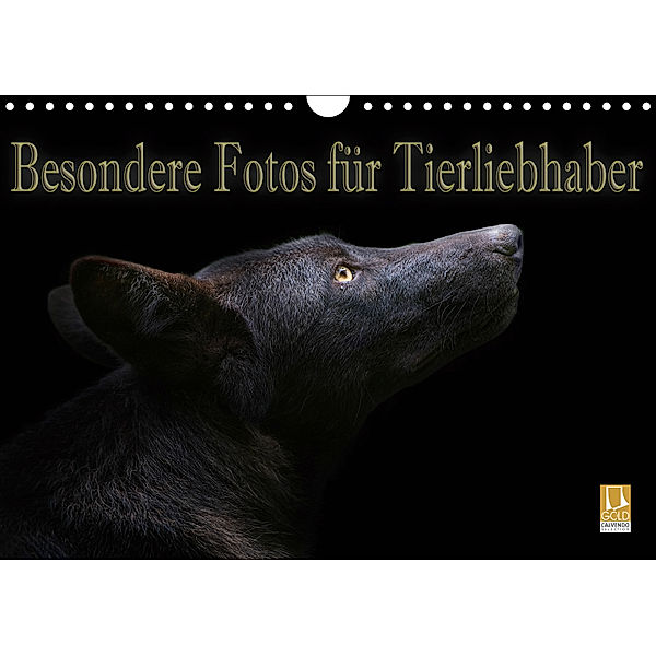 Besondere Fotos für Tierliebhaber (Wandkalender 2019 DIN A4 quer), Eleonore Swierczyna