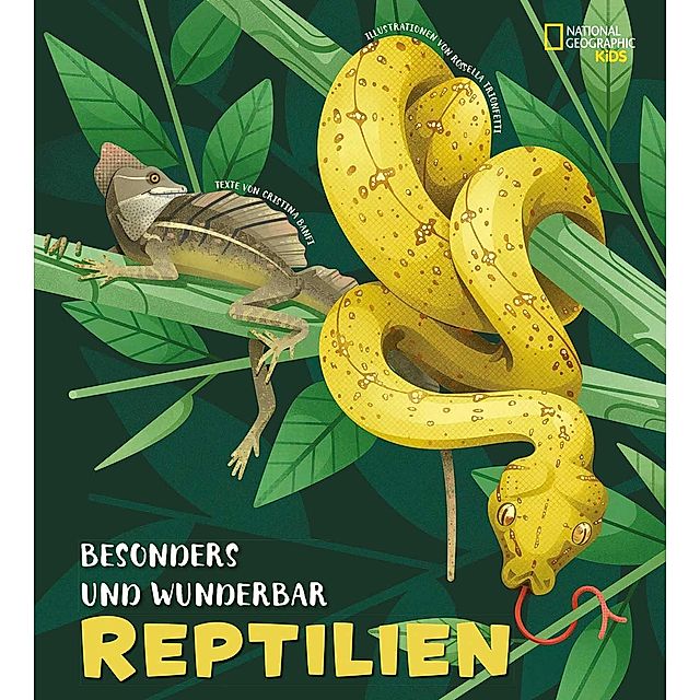 Besonders und wunderbar: Reptilien kaufen | tausendkind.de