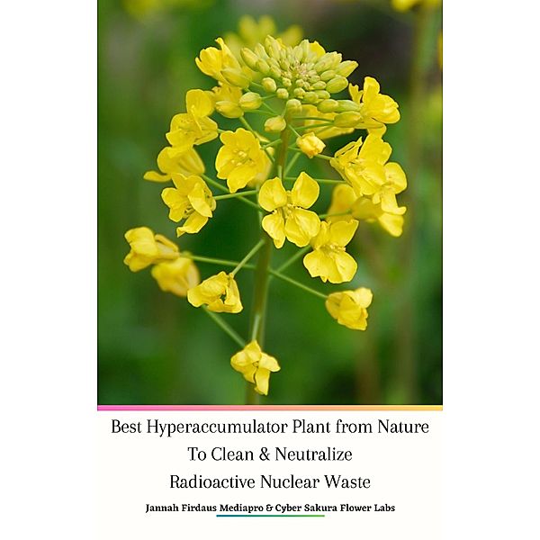 Best Hyperaccumulator Plant from Nature To Clean & Neutralize Radioactive NuclearWaste, Jannah Firdaus Mediapro, Cyber Sakura Flower Labs