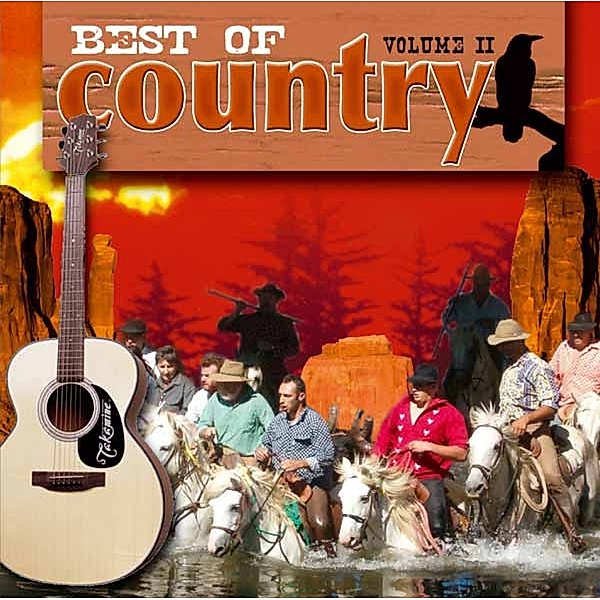 Best Of Country 2, Diverse Interpreten