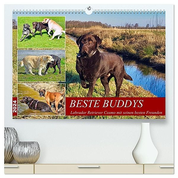 Beste Buddys (hochwertiger Premium Wandkalender 2024 DIN A2 quer), Kunstdruck in Hochglanz, Claudia Kleemann