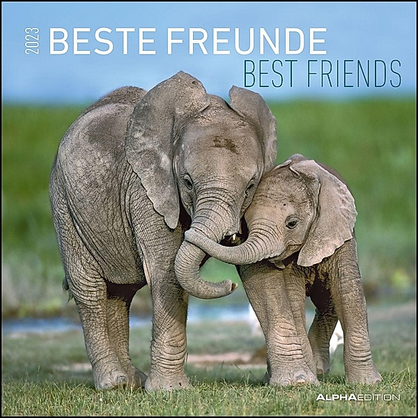Beste Freunde 2023 - Broschürenkalender 30x30 cm (30x60 geöffnet) - Kalender mit Platz für Notizen - Best Friends - Bild