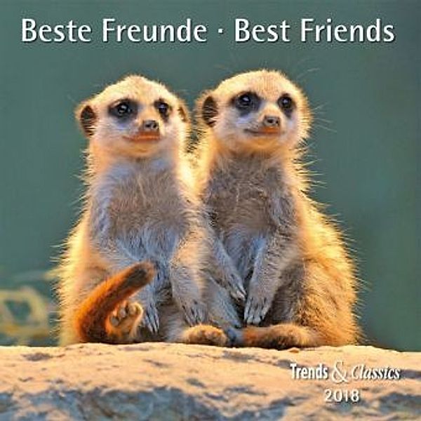 Beste Freunde  / Best Friends 2018
