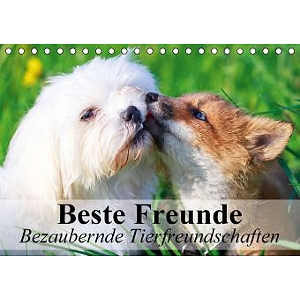 Beste Freunde - Bezaubernde Tierfreundschaften (Tischkalender 2015 DIN A5 quer), Elisabeth Stanzer