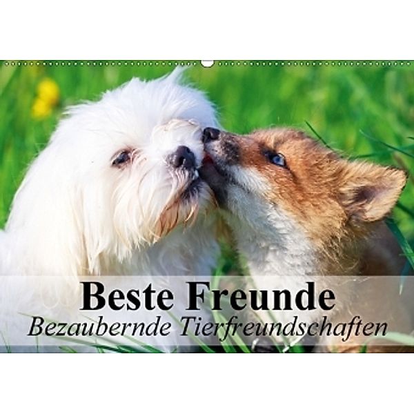 Beste Freunde - Bezaubernde Tierfreundschaften (Wandkalender 2017 DIN A2 quer), Elisabeth Stanzer