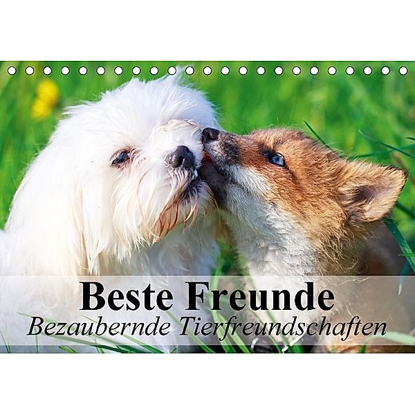 Beste Freunde - Bezaubernde Tierfreundschaften (Tischkalender 2017 DIN A5 quer), Elisabeth Stanzer