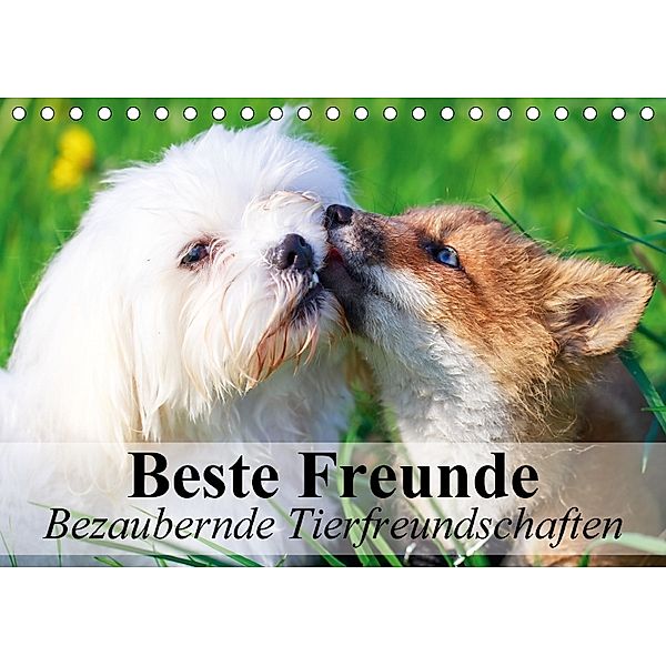 Beste Freunde - Bezaubernde Tierfreundschaften (Tischkalender 2018 DIN A5 quer), Elisabeth Stanzer