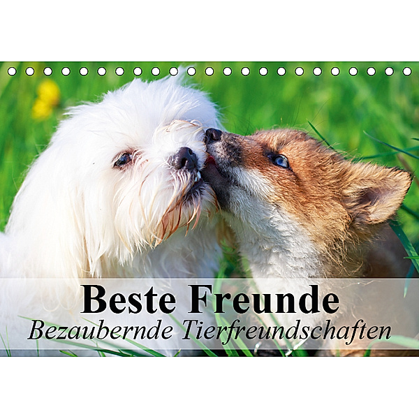 Beste Freunde - Bezaubernde Tierfreundschaften (Tischkalender 2019 DIN A5 quer), Elisabeth Stanzer